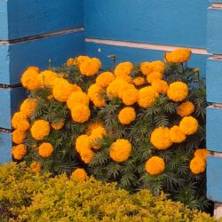 WhatsApp Image 2026-01-21 at 3.46.00 PM (1)