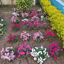 WhatsApp Image 2026-01-21 at 3.46.00 PM (2)