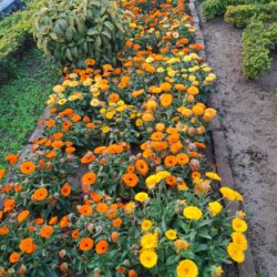 WhatsApp Image 2026-01-21 at 3.46.00 PM